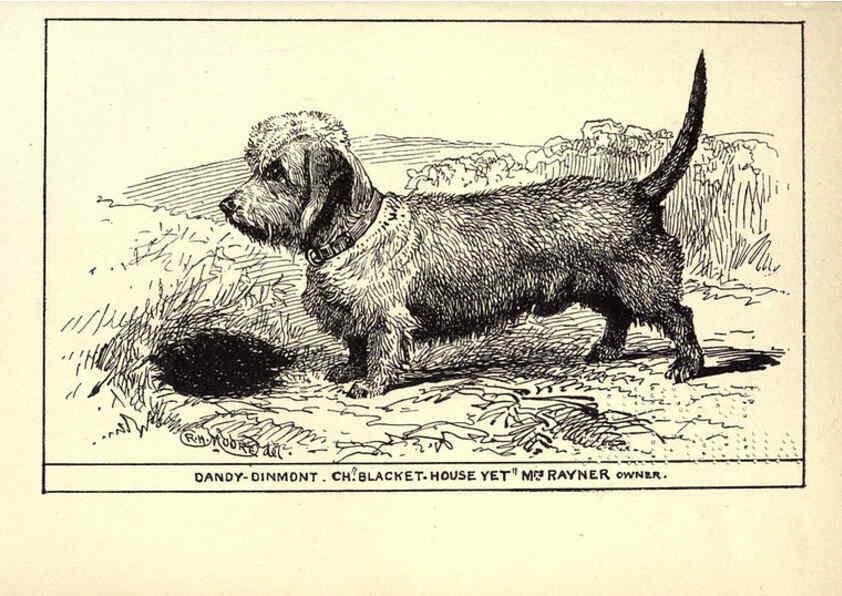 Reproducción/Reproduction 6233741983: All about dogs; a book for doggy people New York,J. Lane,1900