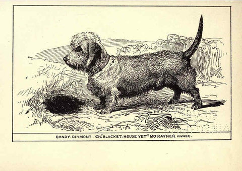 Reproducción/Reproduction 6233741983: All about dogs; a book for doggy people New York,J. Lane,1900