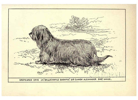 Reproducción/Reproduction 6234266846: All about dogs; a book for doggy people New York,J. Lane,1900
