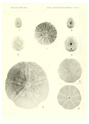 Reproducción/Reproduction 6221113126: Echinoderms from Australia Cambridge, U.S.A. :Printed for the Museum,1938