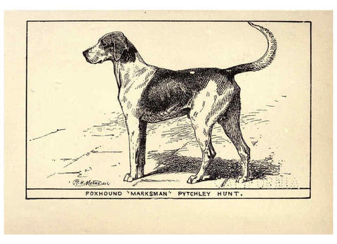 Reproducción/Reproduction 6233737797: All about dogs; a book for doggy people New York,J. Lane,1900