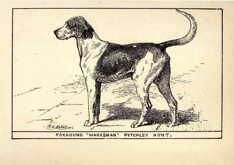 Reproducción/Reproduction 6233737797: All about dogs; a book for doggy people New York,J. Lane,1900