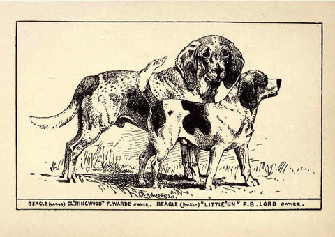 Reproducción/Reproduction 6234262804: All about dogs; a book for doggy people New York,J. Lane,1900