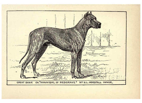 Reproducción/Reproduction 6234263224: All about dogs; a book for doggy people New York,J. Lane,1900