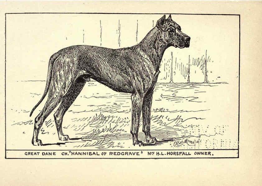 Reproducción/Reproduction 6234263224: All about dogs; a book for doggy people New York,J. Lane,1900