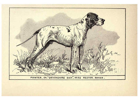 Reproducción/Reproduction 6234263364: All about dogs; a book for doggy people New York,J. Lane,1900