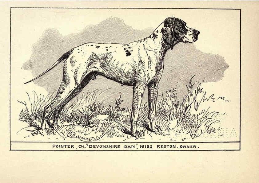 Reproducción/Reproduction 6234263364: All about dogs; a book for doggy people New York,J. Lane,1900