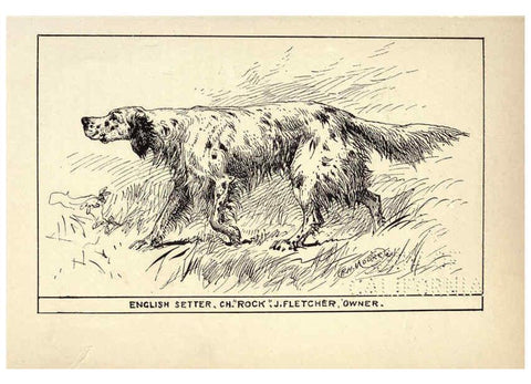 Reproducción/Reproduction 6233738749: All about dogs; a book for doggy people New York,J. Lane,1900