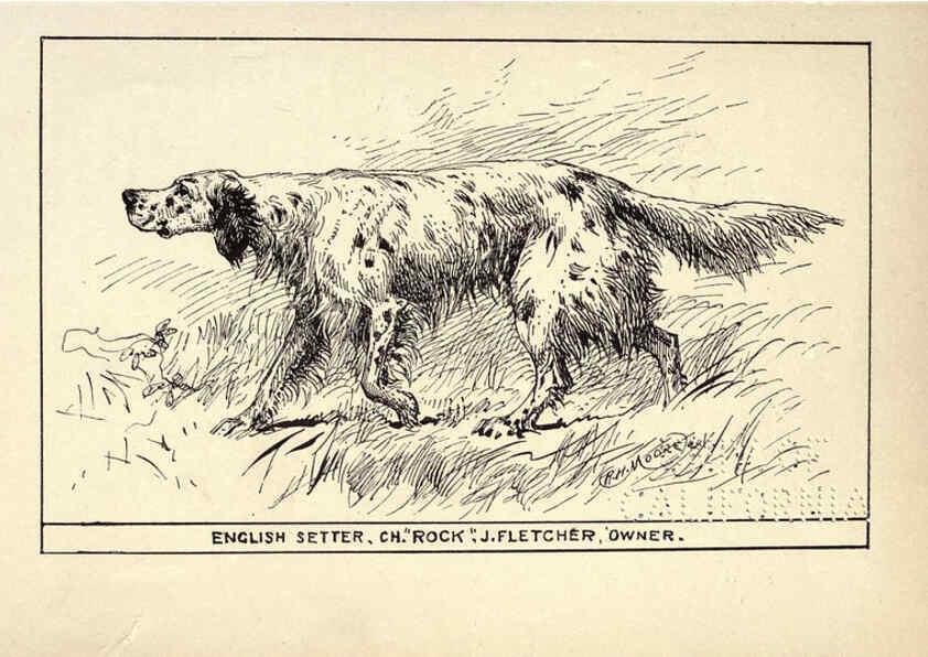 Reproducción/Reproduction 6233738749: All about dogs; a book for doggy people New York,J. Lane,1900