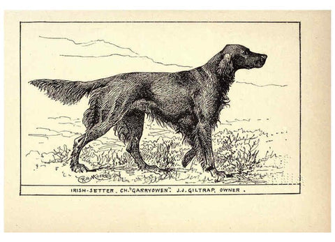Reproducción/Reproduction 6234263762: All about dogs; a book for doggy people New York,J. Lane,1900