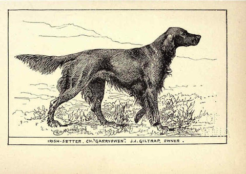 Reproducción/Reproduction 6234263762: All about dogs; a book for doggy people New York,J. Lane,1900
