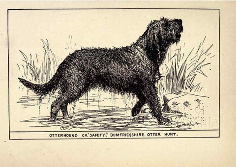 Reproducción/Reproduction 6233738337: All about dogs; a book for doggy people New York,J. Lane,1900