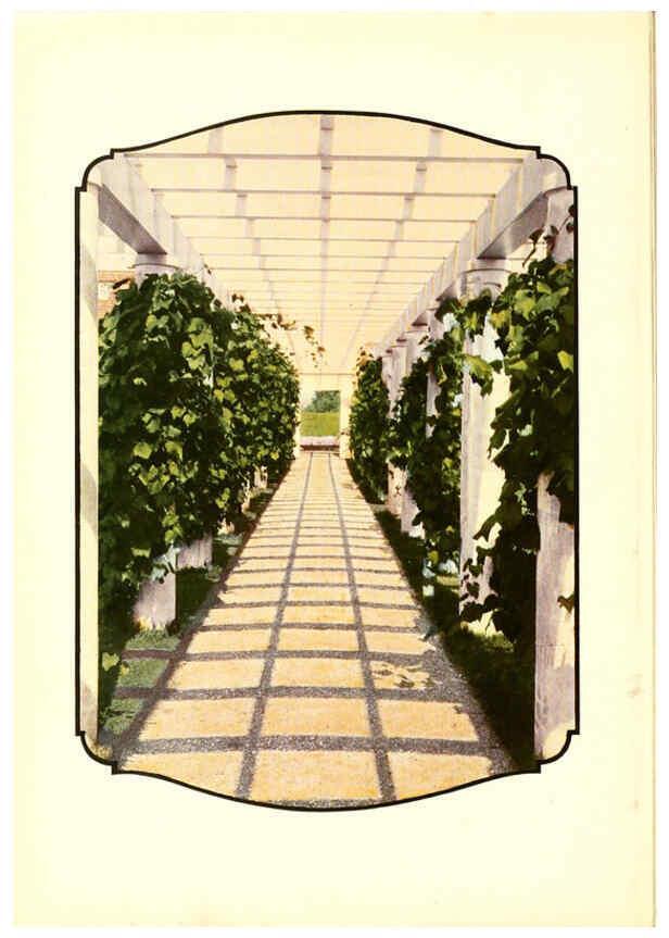 Reproducción/Reproduction 6237558398: Chase fruit and flowers in natural colors Rochester, N.Y.,Chase brothers company[c1922] 