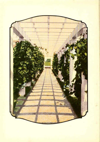 Reproducción/Reproduction 6237558398: Chase fruit and flowers in natural colors Rochester, N.Y.,Chase brothers company[c1922] 
