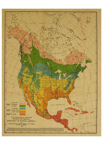 Reproducción/Reproduction 6234658091: Field book of North American mammals New York,G. P. Putnam's Sons,1928