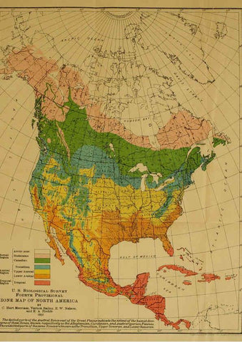 Reproducción/Reproduction 6234658091: Field book of North American mammals New York,G. P. Putnam's Sons,1928