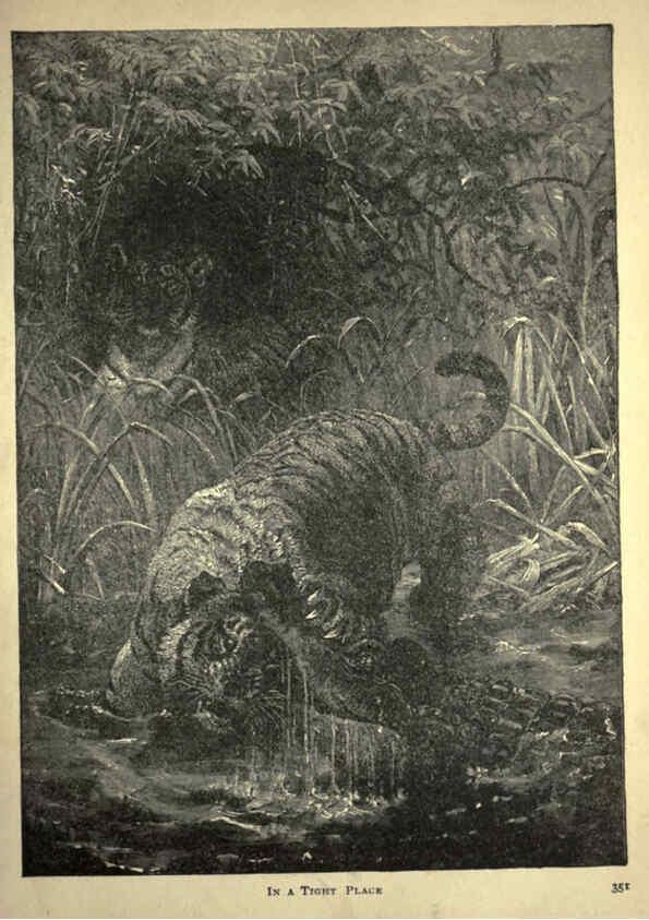 Reproducción/Reproduction 6221064208: Forest and jungle, or, Thrilling adventures in all quarters of the globe Chicago ;The Werner Company,1896