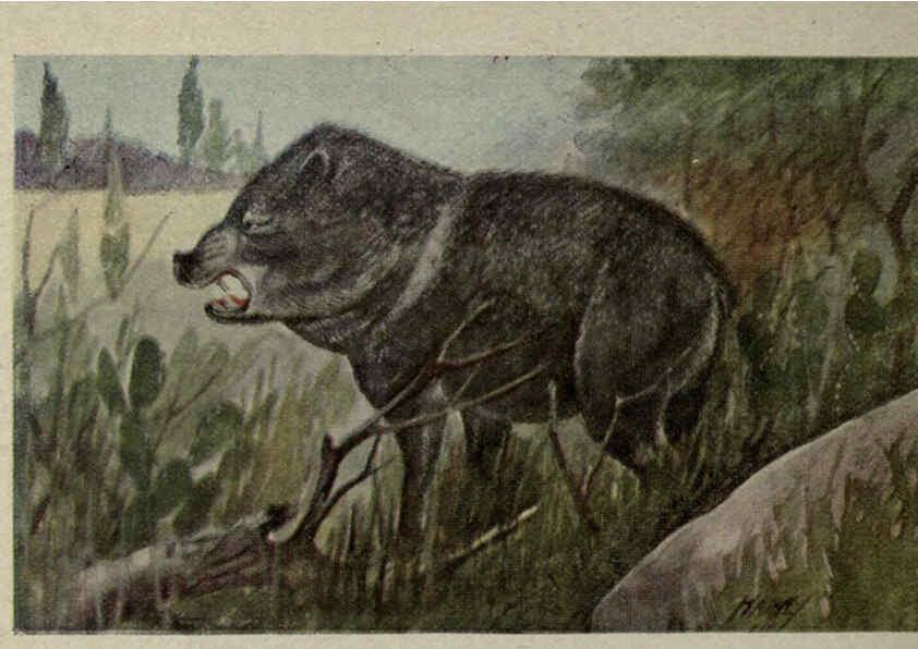 Reproducción/Reproduction 6257103201: Animal guide, North American wild animals Worcester, Mass. :C. K. Reed,1915