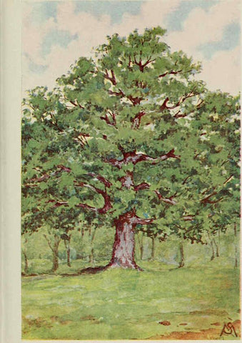 Reproducción/Reproduction 6254952674: Familiar trees and their leaves New York D. Appleton 1911 