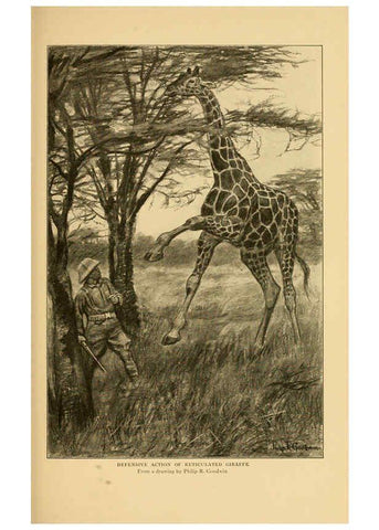 Reproducción/Reproduction 6254336411: Life-histories of African game animals New York,C. Scribner's Sons,1914