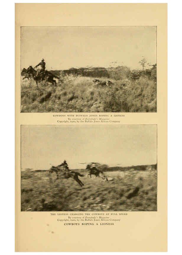 Reproducción/Reproduction 6254863294: Life-histories of African game animals New York,C. Scribner's Sons,1914