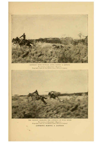 Reproducción/Reproduction 6254863294: Life-histories of African game animals New York,C. Scribner's Sons,1914