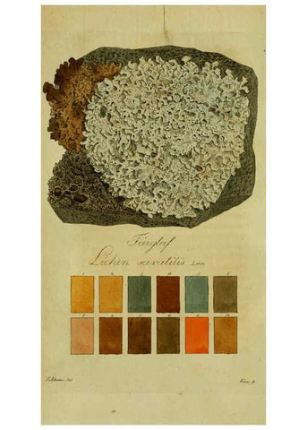 Reproducción/Reproduction 6194973368: Svenska lafvarnas färghistoria Stockholm :Tryckt hos C. Delén,1805-[1809] 
