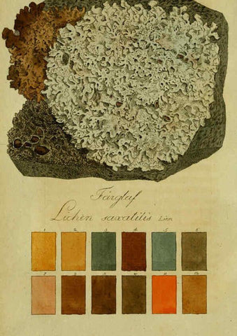 Reproducción/Reproduction 6194973368: Svenska lafvarnas färghistoria Stockholm :Tryckt hos C. Delén,1805-[1809] 