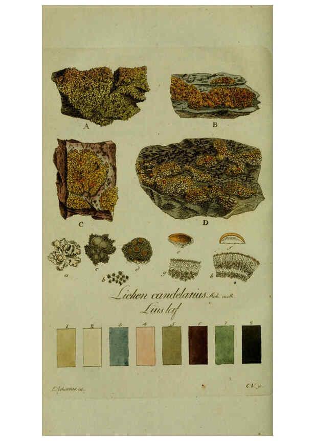 Reproducción/Reproduction 6194457239: Svenska lafvarnas färghistoria Stockholm :Tryckt hos C. Delén,1805-[1809] 