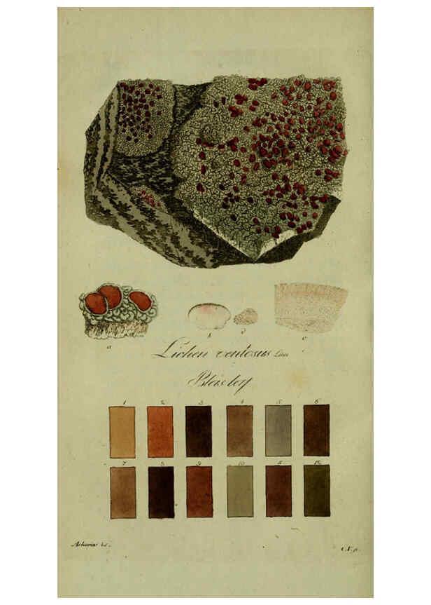 Reproducción/Reproduction 6194457429: Svenska lafvarnas färghistoria Stockholm :Tryckt hos C. Delén,1805-[1809] 