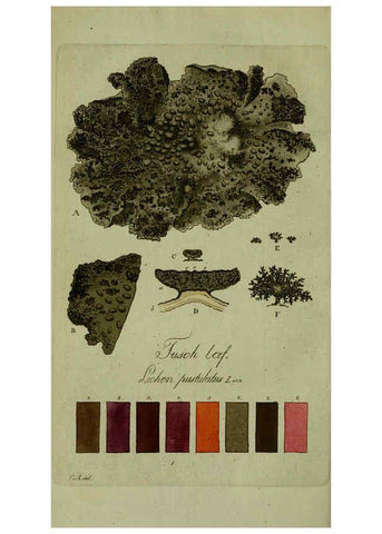 Reproducción/Reproduction 6194458715: Svenska lafvarnas färghistoria Stockholm :Tryckt hos C. Delén,1805-[1809] 