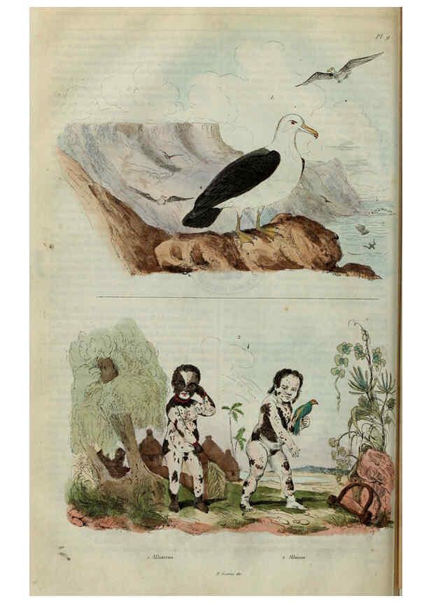 Reproducción/Reproduction 6195089364: Dictionnaire pittoresque d'histoire naturelle et des phénomènes de la nature. v.1 Paris,1833-[1840] 