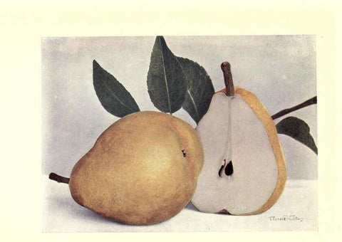 Reproducción/Reproduction 6220549034: Apples & pears Edinburgh,T.C. & E.C. Jack[1911] 
