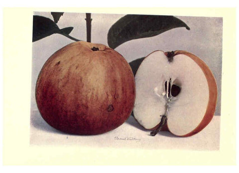 Reproducción/Reproduction 6220027575: Apples & pears Edinburgh,T.C. & E.C. Jack[1911] 