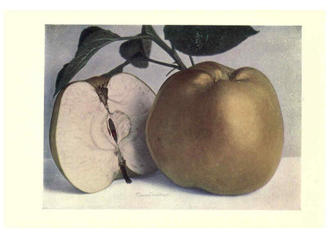 Reproducción/Reproduction 6220549938: Apples & pears Edinburgh,T.C. & E.C. Jack[1911] 