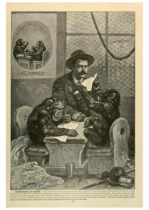 Reproducción/Reproduction 6220148669: Brehm's Life of animals : Volume 1, Mammalia Chicago :Marquis,1895
