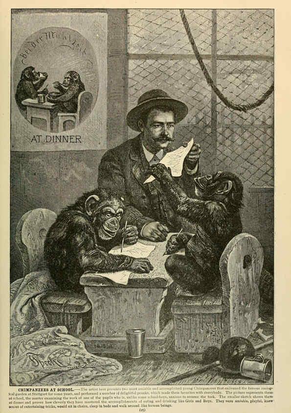 Reproducción/Reproduction 6220148669: Brehm's Life of animals : Volume 1, Mammalia Chicago :Marquis,1895