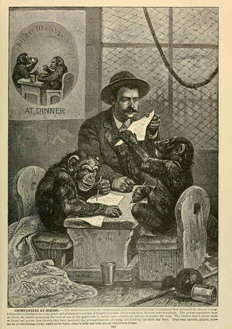 Reproducción/Reproduction 6220148669: Brehm's Life of animals : Volume 1, Mammalia Chicago :Marquis,1895