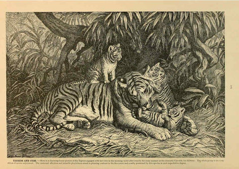 Reproducción/Reproduction 6220151597: Brehm's Life of animals : Volume 1, Mammalia Chicago :Marquis,1895