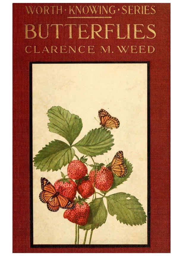 Reproducción/Reproduction 6220523186: ...Butterflies worth knowing Garden City, New York,Doubleday, Page & company[c1917] 