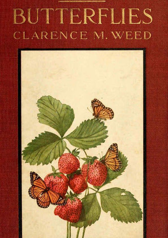 Reproducción/Reproduction 6220523186: ...Butterflies worth knowing Garden City, New York,Doubleday, Page & company[c1917] 
