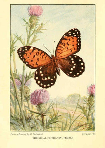 Reproducción/Reproduction 6220523492: ...Butterflies worth knowing Garden City, New York,Doubleday, Page & company[c1917] 