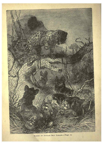 Reproducción/Reproduction 6220539933: Forest and jungle, or, Thrilling adventures in all quarters of the globe Chicago ;The Werner Company,1896