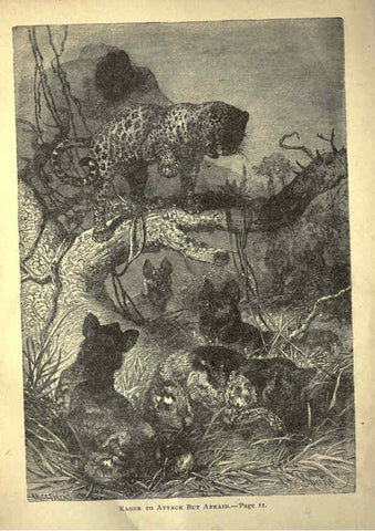 Reproducción/Reproduction 6220539933: Forest and jungle, or, Thrilling adventures in all quarters of the globe Chicago ;The Werner Company,1896
