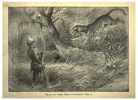 Reproducción/Reproduction 6221060606: Forest and jungle, or, Thrilling adventures in all quarters of the globe Chicago ;The Werner Company,1896