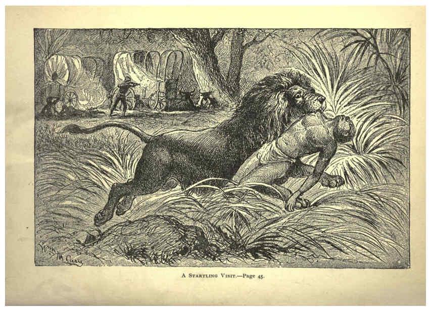 Reproducción/Reproduction 6220541253: Forest and jungle, or, Thrilling adventures in all quarters of the globe Chicago ;The Werner Company,1896