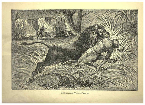 Reproducción/Reproduction 6220541253: Forest and jungle, or, Thrilling adventures in all quarters of the globe Chicago ;The Werner Company,1896