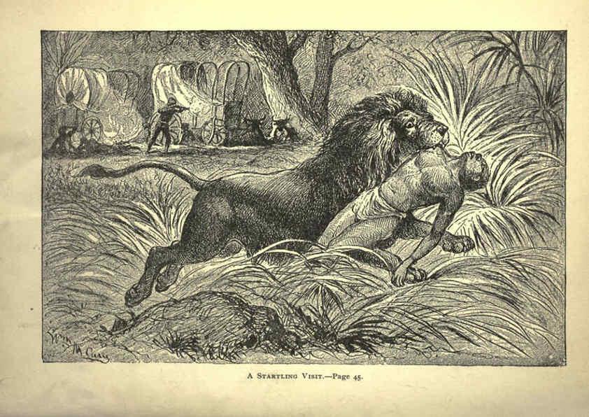 Reproducción/Reproduction 6220541253: Forest and jungle, or, Thrilling adventures in all quarters of the globe Chicago ;The Werner Company,1896