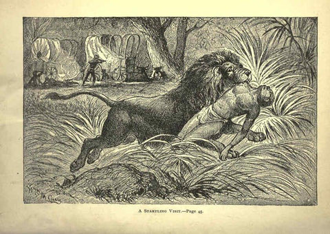 Reproducción/Reproduction 6220541253: Forest and jungle, or, Thrilling adventures in all quarters of the globe Chicago ;The Werner Company,1896