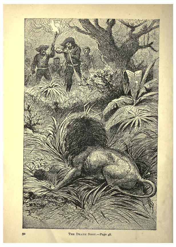 Reproducción/Reproduction 6221061860: Forest and jungle, or, Thrilling adventures in all quarters of the globe Chicago ;The Werner Company,1896